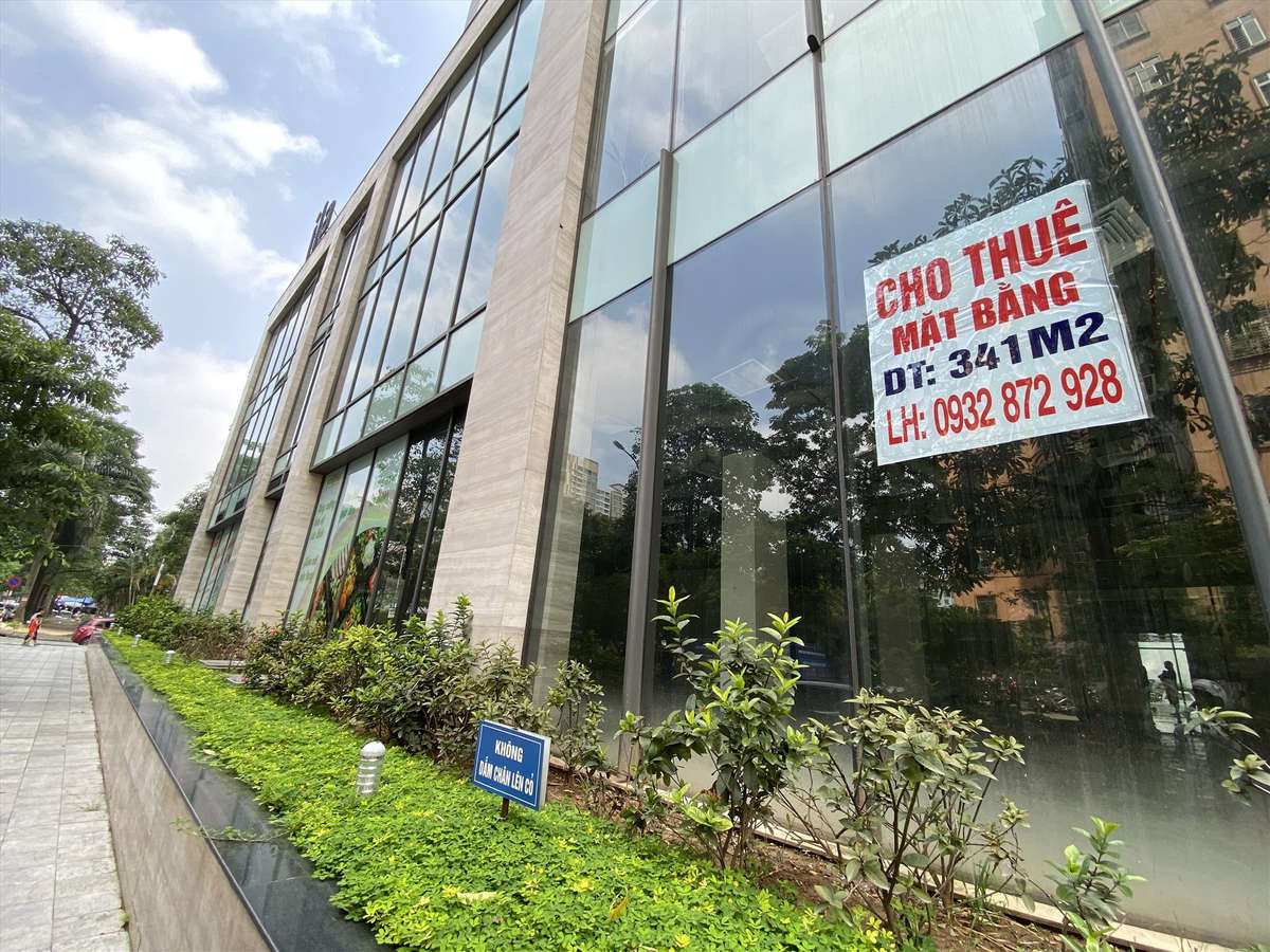 Ng&agrave;y 20.9.2019, Thanh tra Ch&iacute;nh phủ kết luận việc UBND TP H&agrave; Nội thu hồi v&agrave; giao đất cho chủ đầu tư thực hiện dự &aacute;n kh&ocirc;ng th&ocirc;ng qua đấu gi&aacute; l&agrave; vi phạm quy định của luật Đất đai 2003. H&agrave; Nội cũng b&aacute;o c&aacute;o đang gặp kh&oacute; khăn trong việc khắc phục sai phạm, do c&ocirc;ng tr&igrave;nh đ&atilde; ho&agrave;n th&agrave;nh, c&aacute;c hộ d&acirc;n v&agrave;o ở ổn định. UBND TP H&agrave; Nội cũng xin &yacute; kiến về việc xử l&yacute;, khắc phục tồn tại, sai phạm tại dự &aacute;n chung cư Golden Palace.