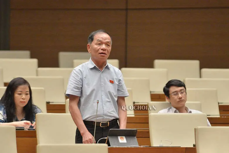 100% ĐBQH là chuyên trách mà không chuyên nghiệp cũng khó đảm bảo thực quyền - 1