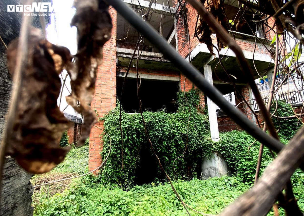 Những căn biệt thự triệu đô 'đắp chiếu' hàng chục năm của Hà Đô tại TP.HCM - 8