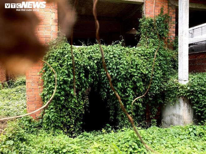 Những căn biệt thự triệu đô 'đắp chiếu' hàng chục năm của Hà Đô tại TP.HCM - 9