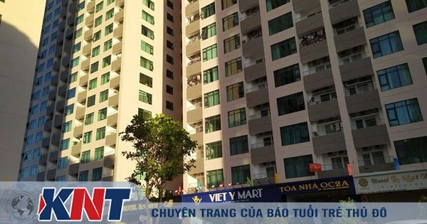 Thất thu thuế hàng nghìn tỉ đồng từ căn hộ tự kinh doanh