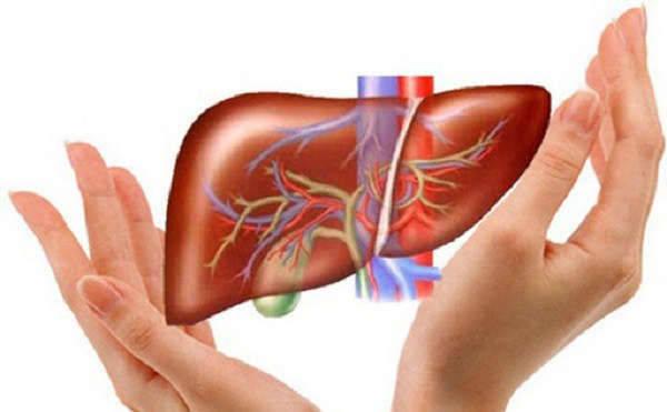 9 tác dụng của hoa tam thất đối với sức khỏe - Ảnh 5 9 tác dụng của hoa tam thất đối với sức khỏe - Ảnh 5