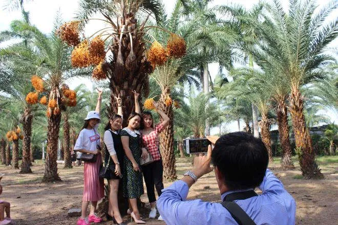 Ảnh: Ngất ng&acirc;y với vườn ch&agrave; l&agrave; lớn nhất miền T&acirc;y - 2