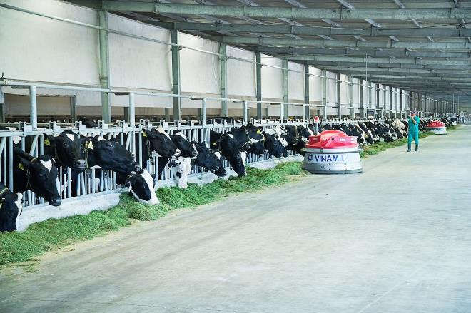 Vinamilk tiếp tục chinh phục top '50 công ty niêm yết tốt nhất Việt Nam' - 3