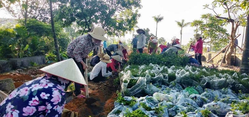 C&aacute;n bộ, đo&agrave;n vi&ecirc;n, hội vi&ecirc;n c&aacute;c sơ sở Đo&agrave;n, Hội tham gia x&acirc;y dựng