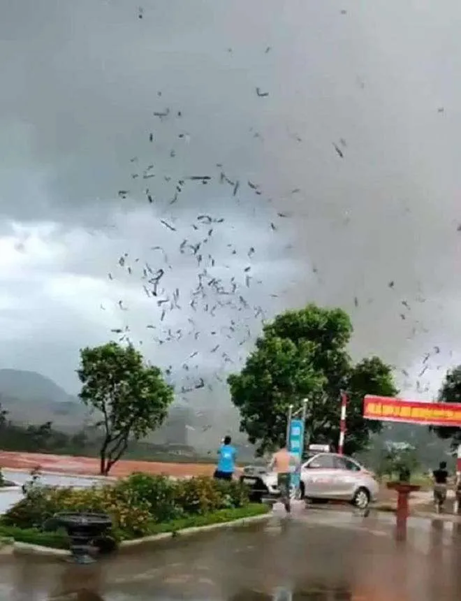 Hiện trường xưởng gỗ ở Vĩnh Ph&uacute;c bị lốc cuốn tan t&agrave;nh, hơn 20 người thương vong - 2