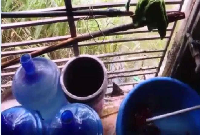 Nước đ&oacute;ng b&igrave;nh lấy từ mương nước thải từng được cung cấp cho học sinh tiểu học - 3