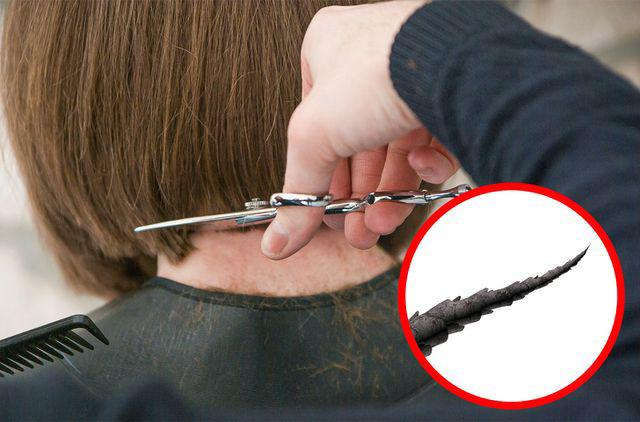 Đi ngủ với mái tóc ẩm, bạn sẽ phải chịu 8 hậu quả chẳng một ai mong muốn này - Ảnh 6 Đi ngủ với mái tóc ẩm, bạn sẽ phải chịu 8 hậu quả chẳng một ai mong muốn này - Ảnh 6