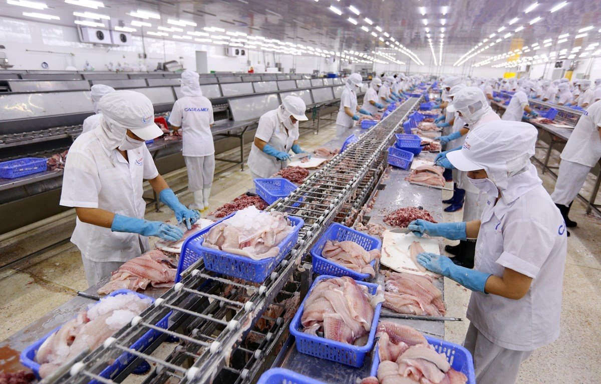 EVFTA: Sức ép lớn - Nội lực mạnh