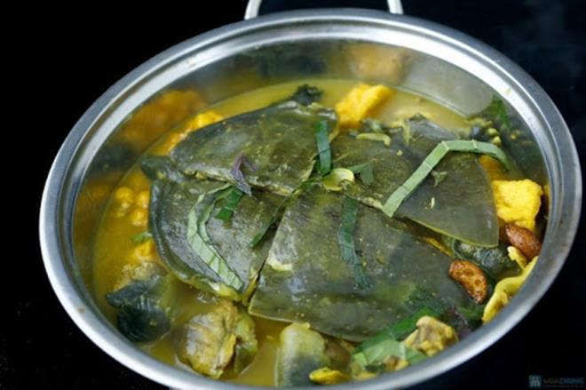 Ăn ba ba, người đàn ông sốc phản vệ suýt chết - 1