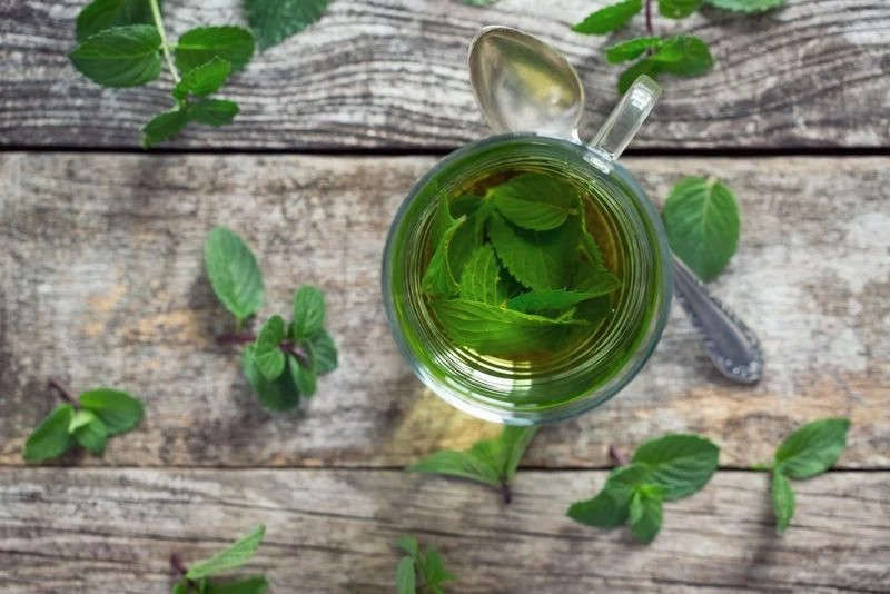 10 thức uống detox hiệu quả nhất mà bạn nên uống mỗi ngày hình 5 10 thuc uong detox hieu qua nhat ma ban nen uong moi ngay hinh 5