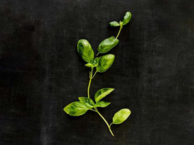 Những thực phẩm là kháng sinh tự nhiên, giúp phòng chống bệnh tật - 8