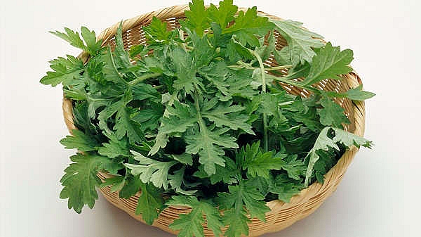 Lợi ích bất ngờ của ngải cứu: Không chỉ chữa bệnh mà còn là "thần dược" trị mụn, trắng da