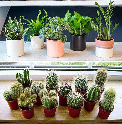 Ý tưởng thiết kế trang trí nội thất khiến nhà ở chung cư đẹp mê mẩn