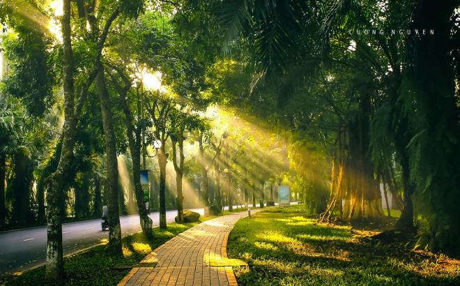 Khu đô thị có thiết kế cảnh quan đẹp nhất thế giới ở phía Đông Hà Nội - 3