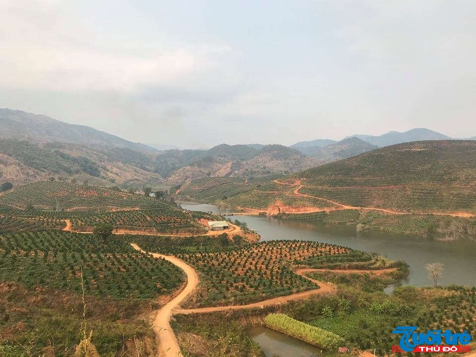 Trang trại c&acirc;y ăn tr&aacute;i khổng lồ của hai ch&agrave;ng trai trẻ dự kiến vốn đầu tư hơn 500 tỷ đồng với 4 năm thực hiện.