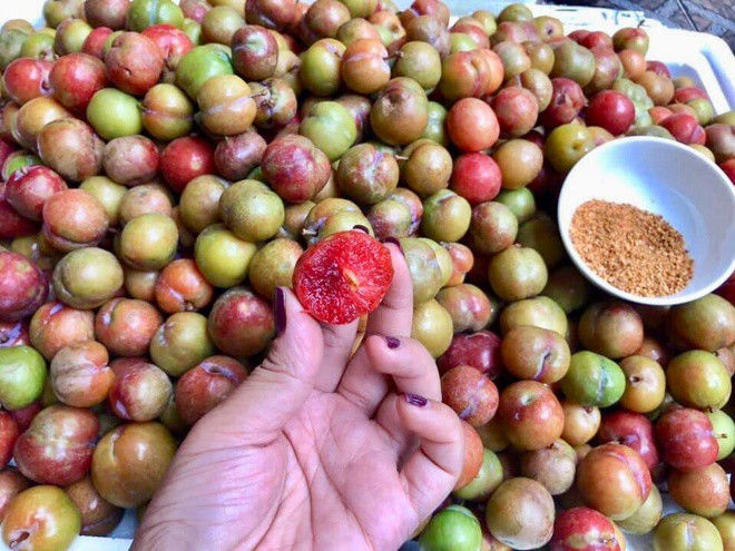 Mang bầu 3 tháng đầu ăn mận được không và cần lưu ý những gì? - Ảnh 2