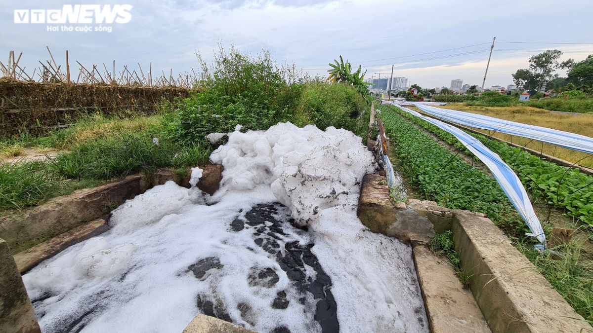 Kinh hãi rau xanh mơn mởn 'tắm' trong nước thải đen kịt, bọt tung trắng xóa - 7
