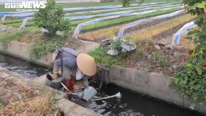 Kinh hãi rau xanh mơn mởn 'tắm' trong nước thải đen kịt, bọt tung trắng xóa - 9