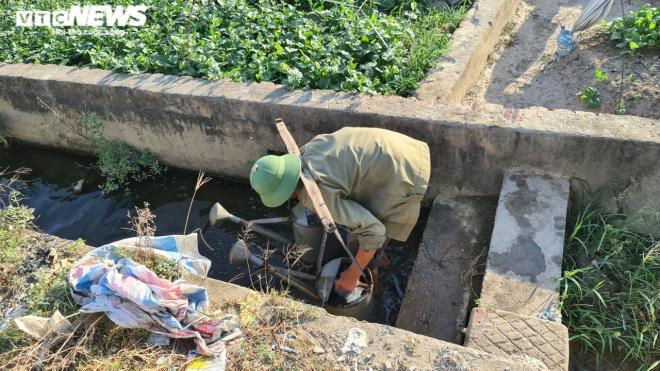 Kinh hãi rau xanh mơn mởn 'tắm' trong nước thải đen kịt, bọt tung trắng xóa - 10