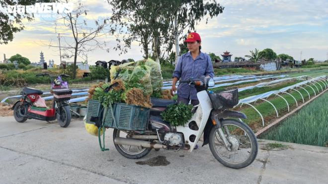Kinh hãi rau xanh mơn mởn 'tắm' trong nước thải đen kịt, bọt tung trắng xóa - 15