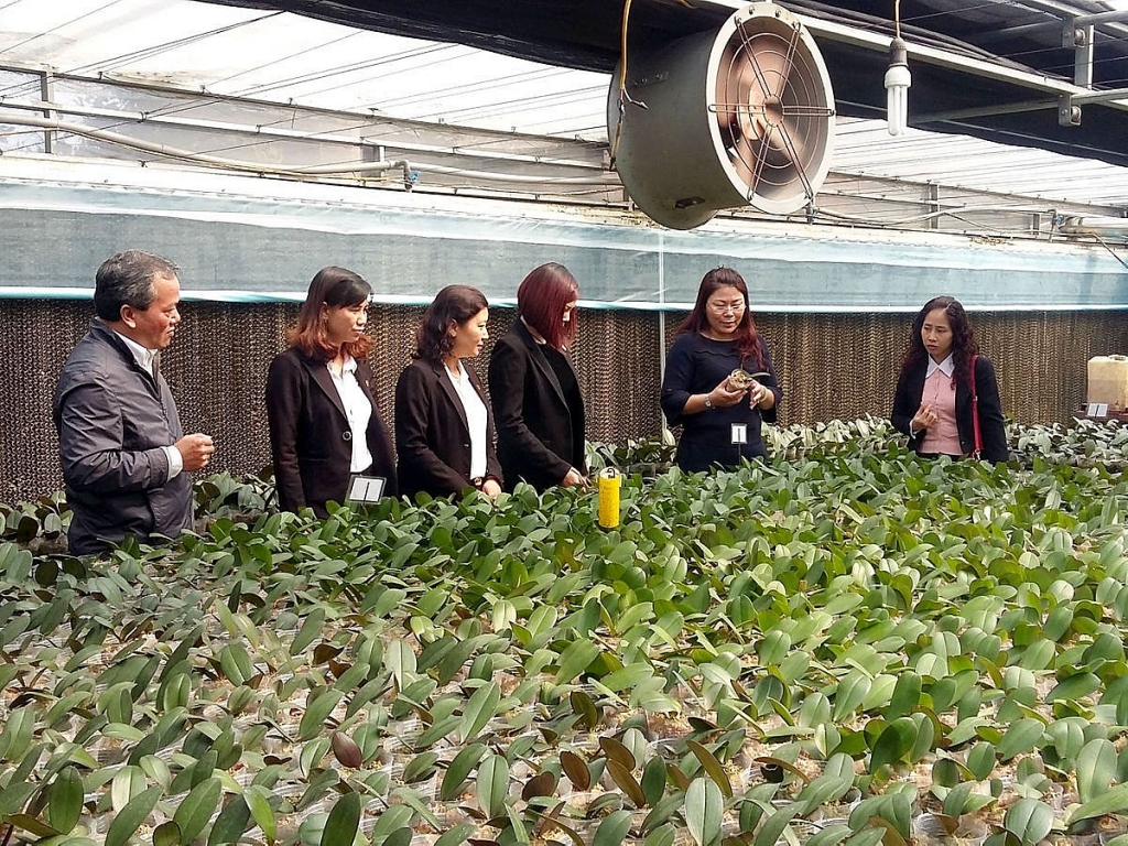 HTX Đan Hoài: Tiên phong trong lĩnh vực nông nghiệp công nghệ cao