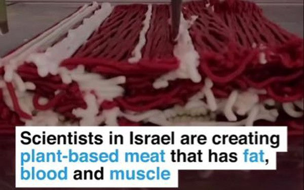 thit lon nhan tao co mo, co va ca... tiet nhu thit that hinh 1