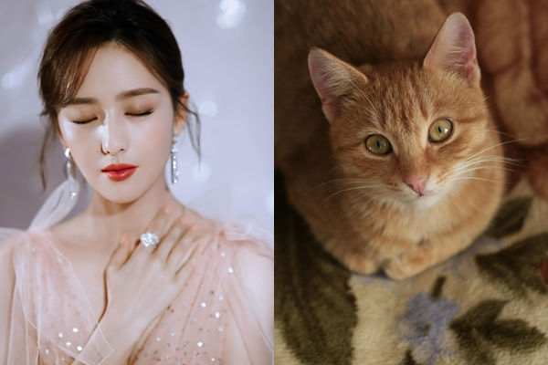 Top con giáp nghèo kiết xác, tất cả tiền bạc đội nón ra đi trong 10 ngày tới vì trót nghe lời kẻ gian - Ảnh 3 Top con giáp nghèo kiết xác, tất cả tiền bạc đội nón ra đi trong 10 ngày tới vì trót nghe lời kẻ gian - Ảnh 3