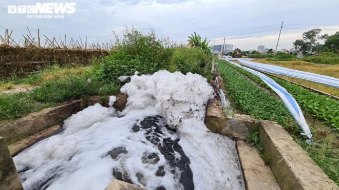 Nông dân tưới rau bằng nước thải ô nhiễm: Chủ tịch TP Bắc Ninh chỉ đạo xử lý - 4