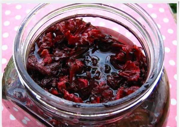 cong dung cua hat atiso do ảnh 8