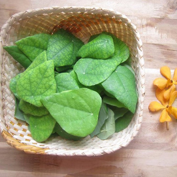 Lá sương sâm có tác dụng gì đối với sức khỏe? - Ảnh 5 la suong sam co tac dung gi ảnh 5