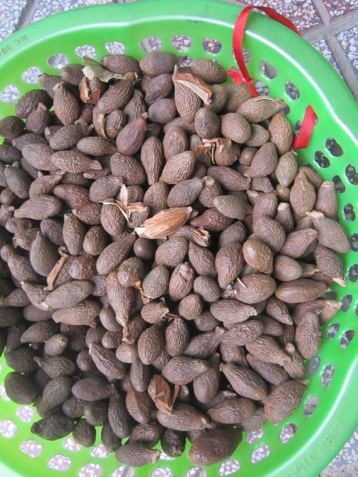 Tìm hiểu hạt đười ươi có tác dụng gì với sức khỏe - Ảnh 4 hat duoi uoi co tac dung gi ảnh 4