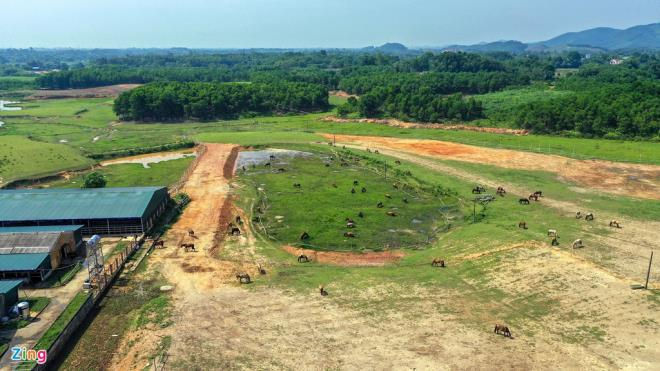 Cận cảnh kỵ binh CSCĐ thuần dưỡng ngựa nơi thao trường đầy nắng gắt - 1