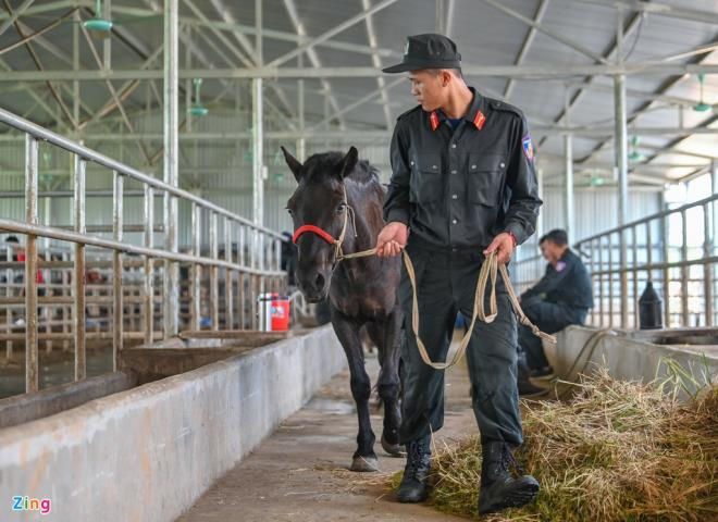 Cận cảnh kỵ binh CSCĐ thuần dưỡng ngựa nơi thao trường đầy nắng gắt - 10