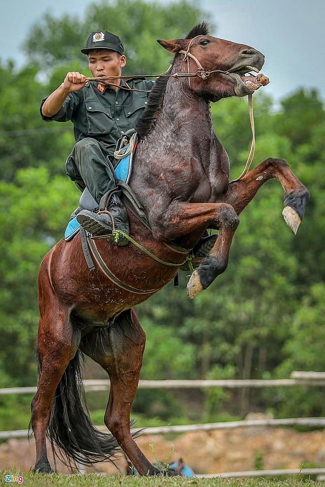 Xem cảnh sát cơ động thuần hóa ngựa chiến bất kham