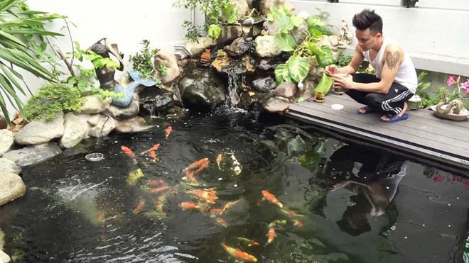 Cao Thái Sơn đầu tư 1 tỉ làm hồ cá. Ảnh: NSCC