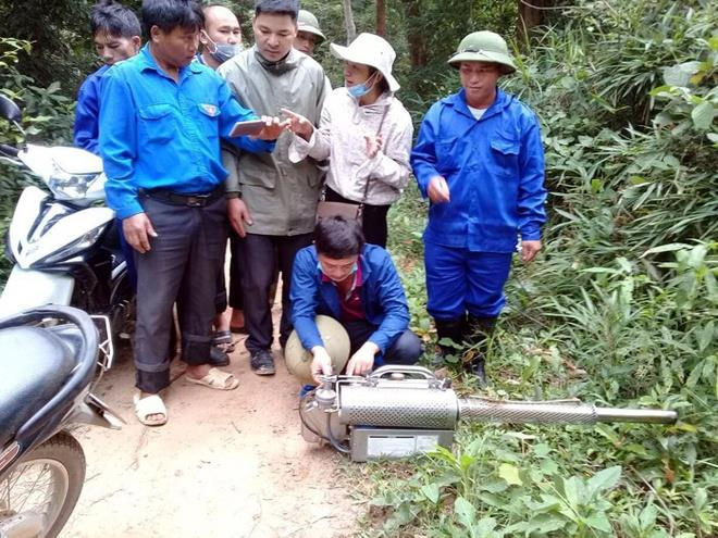 Đàn châu chấu từ Trung Quốc tràn sang Điện Biên có đáng lo ngại? - 1