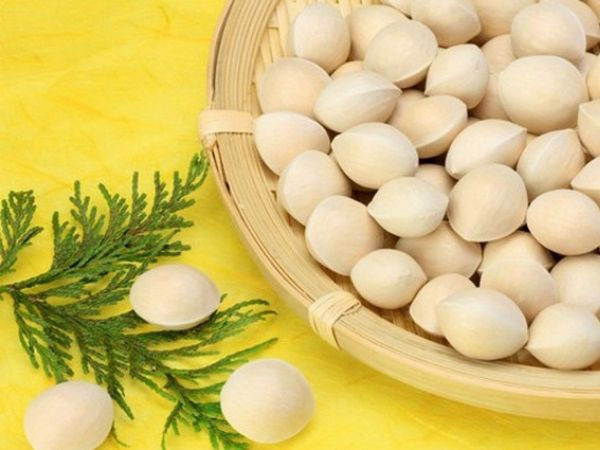 Bạch quả có tác dụng gì, bạn đã biết chưa? - Ảnh 1 bach qua co tac dung gi 1