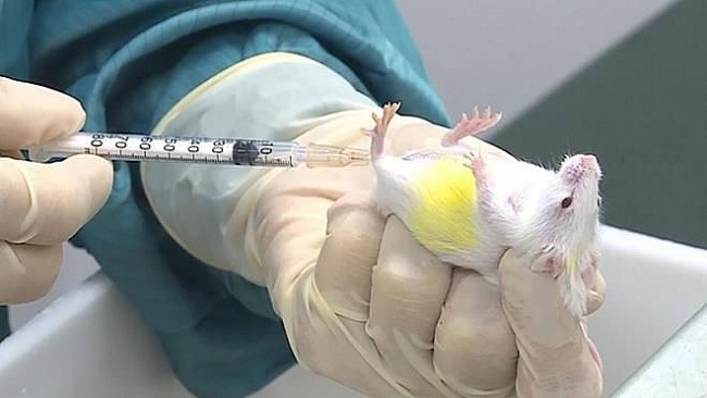 Việt Nam sẽ có vaccine COVID-19 vào cuối năm 2021?