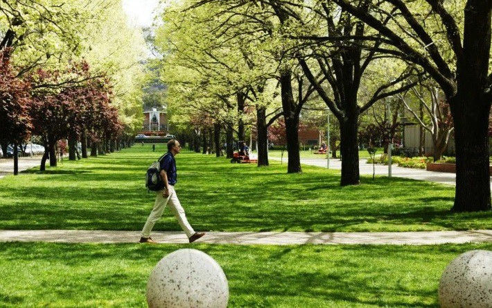 sinh vien quoc te co kha nang quay lai australia vao giua nam 2021 hinh 1