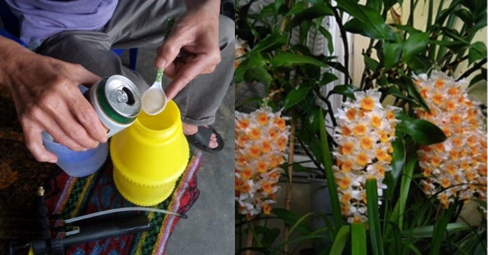 Đổ bia vào ướp thịt bò, điều kỳ diệu xảy ra khiến ai cũng ngỡ ngàng - Ảnh 2 Đổ bia vào ướp thịt bò, điều kỳ diệu xảy ra khiến ai cũng ngỡ ngàng - Ảnh 2