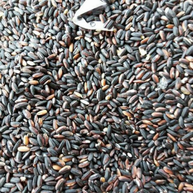 gao nep cam co tac dung gi ảnh 3