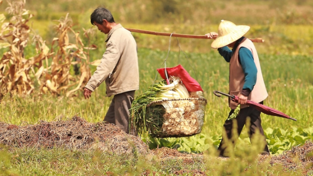 trung quoc co the thieu 130 trieu tan luong thuc vao cuoi giai doan 2021-2025 hinh 1