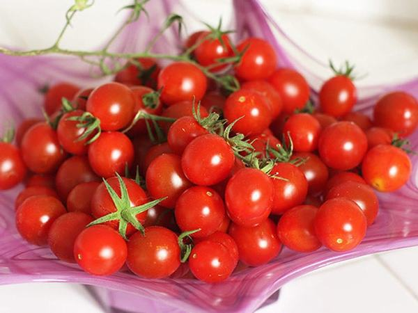 an ca chua song co tac dung gi 1