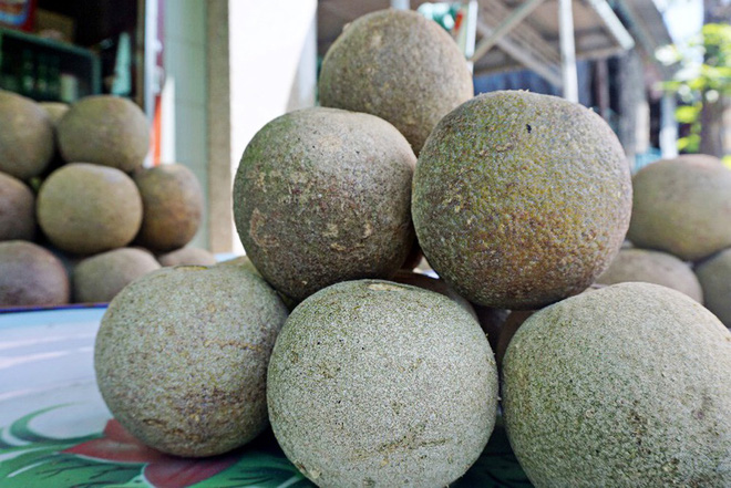 Những công dụng của trái quách khiến bạn bất ngờ - Ảnh 3 cong dung cua trai quach 3