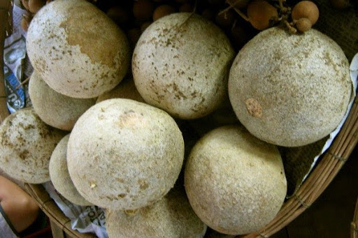 Những công dụng của trái quách khiến bạn bất ngờ - Ảnh 6 cong dung cua trai quach 6