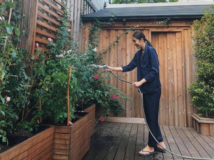 Tăng Thanh Hà trồng rau, trái cây, hoa ở sân vườn biệt thự. Ảnh: Cắt từ clip, NSCC