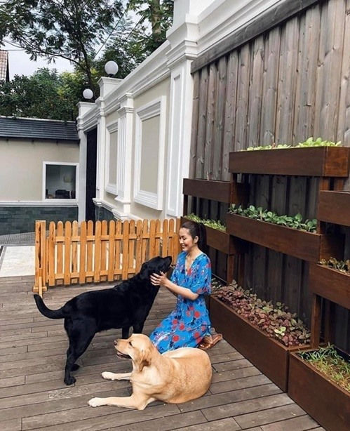 Ngọc nữ Tăng Thanh Hà còn có sở thích nô đùa và chăm sóc thú cưng. Ảnh: NSCC