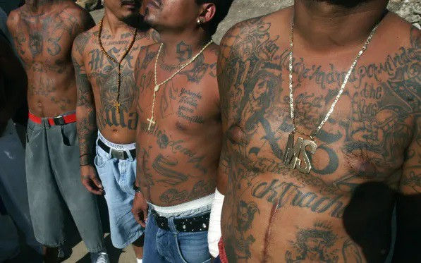 trum mafia mexico bi tuyen an 50 nam tu do sat hai nha bao hinh 1