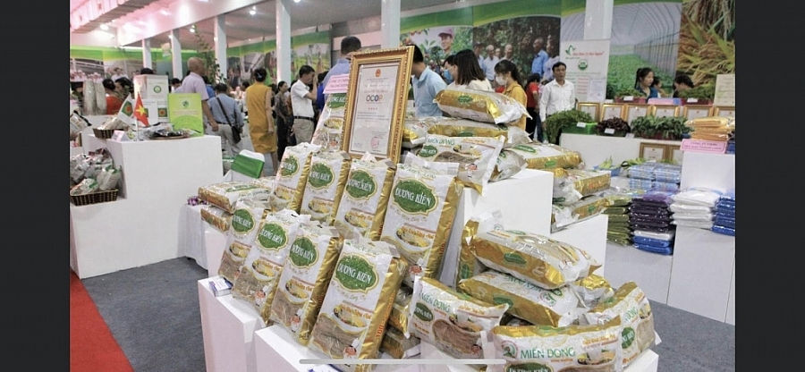 nhieu ket qua noi bat trong chuong trinh ocop cua tuoi tre thu do